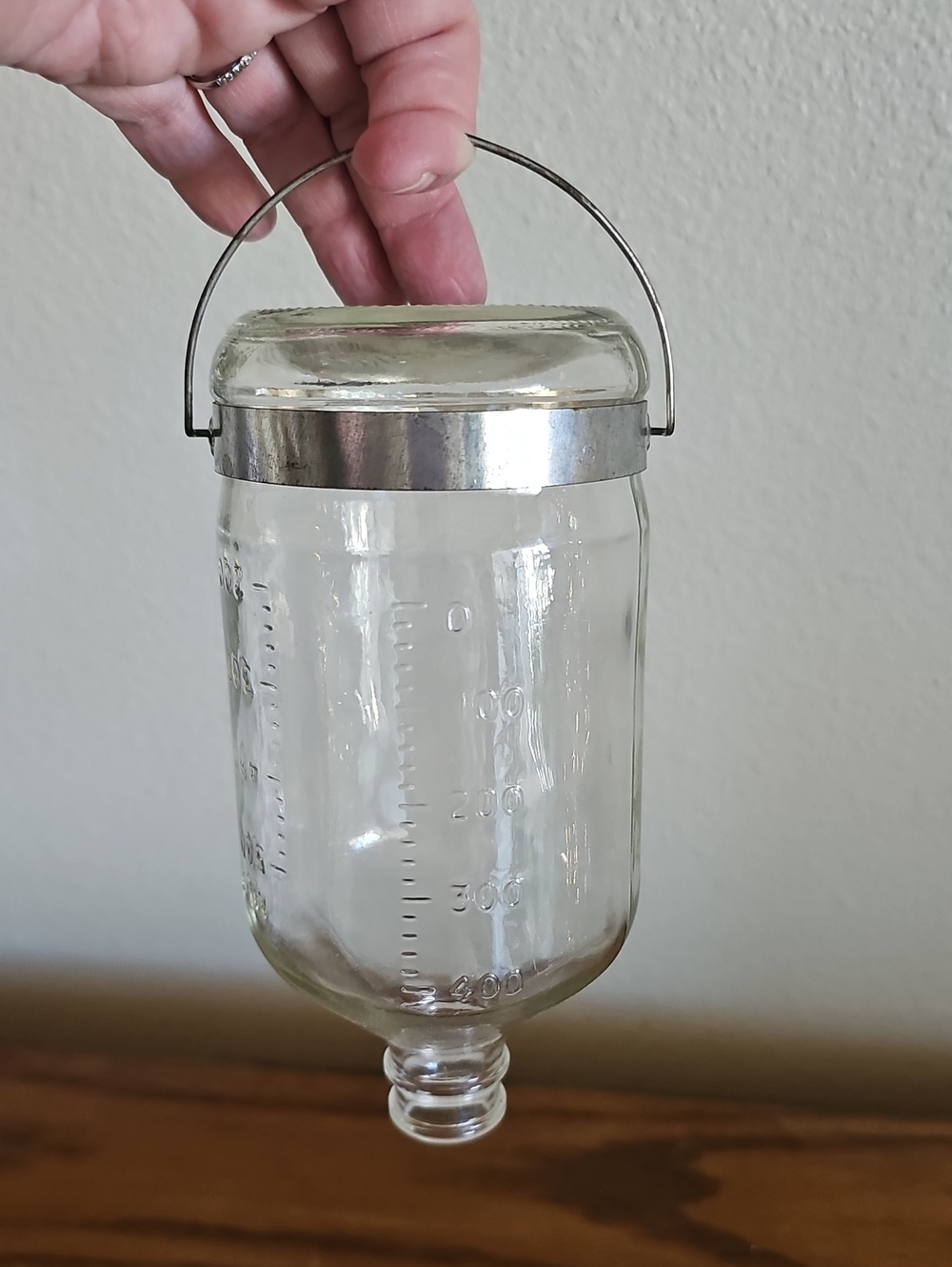 Vintage Kerr Glass IV Bottle Tote 6